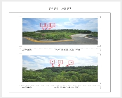  2025Ÿ��446  �����