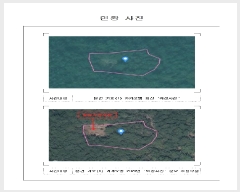  2025Ÿ��446  �����