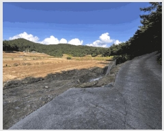  2025Ÿ��504 ���� ���ȱ� û��� ���θ� 299      ����(��)���