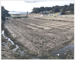  2025Ÿ��504 ���� ���ȱ� û��� ���θ� 299      ����(��)���