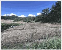  2025Ÿ��504 ���� ���ȱ� û��� ���θ� 299      ����(��)���