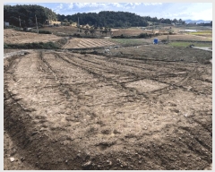  2025Ÿ��504 ���� ���ȱ� û��� ���θ� 299      ����(��)���