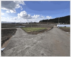  2025Ÿ��504 ���� ���ȱ� û��� ���θ� 299      ����(��)���