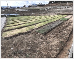  2025Ÿ��504 ���� ���ȱ� û��� ���θ� 299      ����(��)���