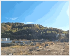  2025Ÿ��532 ���� ���ȱ� ������ ����� 1010-5      ����,â�����