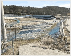  2025Ÿ50876  ϱ ȣ 縮 772-5      ()