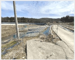  2025Ÿ50876  ϱ ȣ 縮 772-5      ()