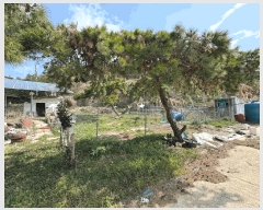  2025Ÿ��50902 ���� ���� �պҸ� ������ 765-7      �ܵ�����,�����ð��