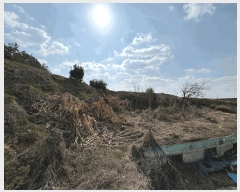  2025Ÿ��50902 ���� ���� �պҸ� ������ 765-7      �ܵ�����,�����ð��