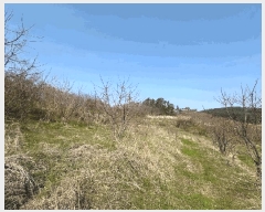  2025Ÿ50930   պҸ â 625-7      (1)