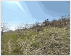  2025Ÿ50930   պҸ â 625-7      (1)