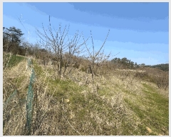  2025Ÿ50930   պҸ â 625-7      (1)