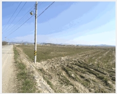  2025Ÿ50947  ȱ  и 1066      ()