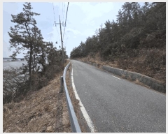  2025Ÿ��50973  �Ӿ߰��