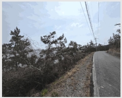  2025Ÿ��50973  �Ӿ߰��