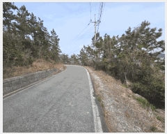  2025Ÿ��50973  �Ӿ߰��