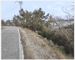  2025Ÿ��50973  �Ӿ߰��