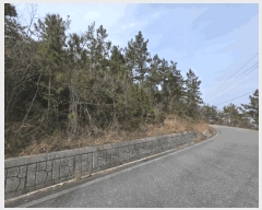  2025Ÿ��50973  �Ӿ߰��