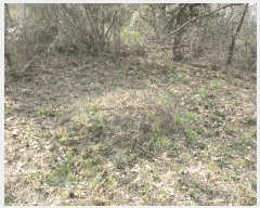  2025Ÿ51011  ȱ Ϸ ǻ긮 102-2      (Ӿ)