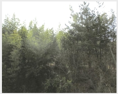  2025Ÿ51011  ȱ Ϸ ǻ긮 102-2      (Ӿ)