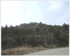  2025Ÿ51011  ȱ Ϸ ǻ긮 102-2      (Ӿ)