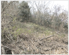  2025Ÿ51011  ȱ Ϸ ǻ긮 102-2      (Ӿ)