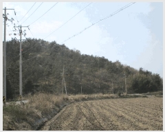  2025Ÿ51011  ȱ Ϸ ǻ긮 102-2      (Ӿ)