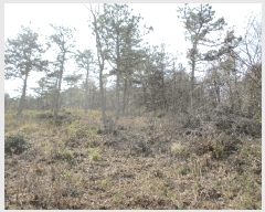  2025Ÿ51011  ȱ Ϸ ǻ긮 102-2      (Ӿ)