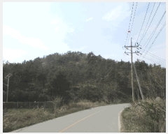  2025Ÿ51011  ȱ Ϸ ǻ긮 102-2      (Ӿ)