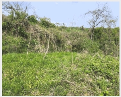  2025Ÿ��51028  �����