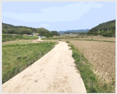  2025Ÿ��51028  �����