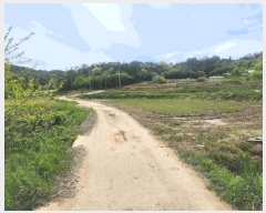  2025Ÿ��51028  �����