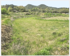  2025Ÿ��51028  �����