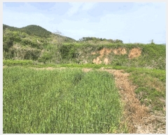  2025Ÿ��51028  �����