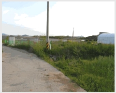  2025Ÿ��51059 ���� �žȱ� ������ ��ȭ�� 142      ����(��)���