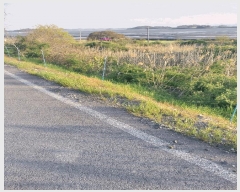  2025Ÿ��51059 ���� �žȱ� ������ ��ȭ�� 142      ����(��)���