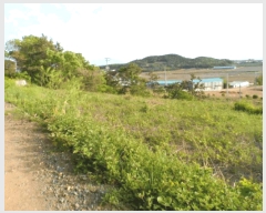  2025Ÿ��51059 ���� �žȱ� ������ ��ȭ�� 142      ����(��)���