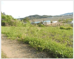  2025Ÿ��51059 ���� �žȱ� ������ ��ȭ�� 142      ����(��)���