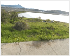  2025Ÿ��51059 ���� �žȱ� ������ ��ȭ�� 142      ����(��)���