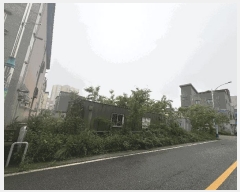  2025Ÿ��51102 ���� ������ ���ϵ� 1216       ��������