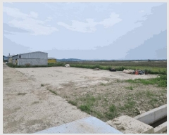  2025Ÿ��51118  ���(�󰡽ü�)���