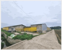  2025Ÿ��51118  ���(�󰡽ü�)���