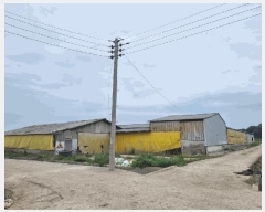  2025Ÿ��51118  ���(�󰡽ü�)���