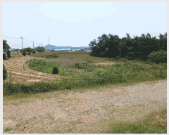  2025Ÿ��51126 ���� ���ȱ� ��� ���� 1082      ����(��1)���