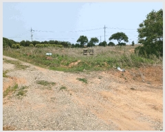  2025Ÿ��51126 ���� ���ȱ� ��� ���� 1082      ����(��1)���