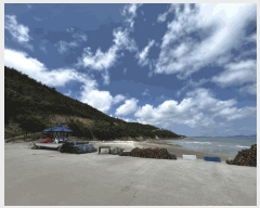  2025Ÿ��51201  �Ӿ߰��