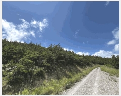  2025Ÿ��51201  �Ӿ߰��