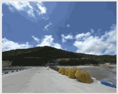  2025Ÿ��51201  �Ӿ߰��