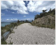  2025Ÿ��51201  �Ӿ߰��