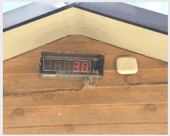  2025Ÿ��51219 ���� ������ ���굿 620-9       ����,â�����